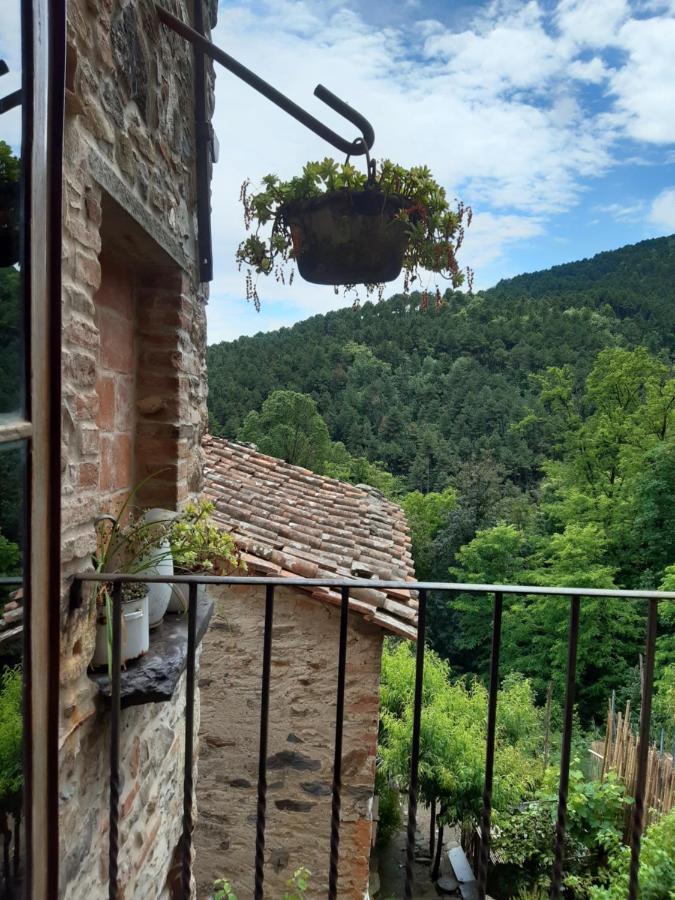 Locanda Del Capo Capannori Eksteriør billede